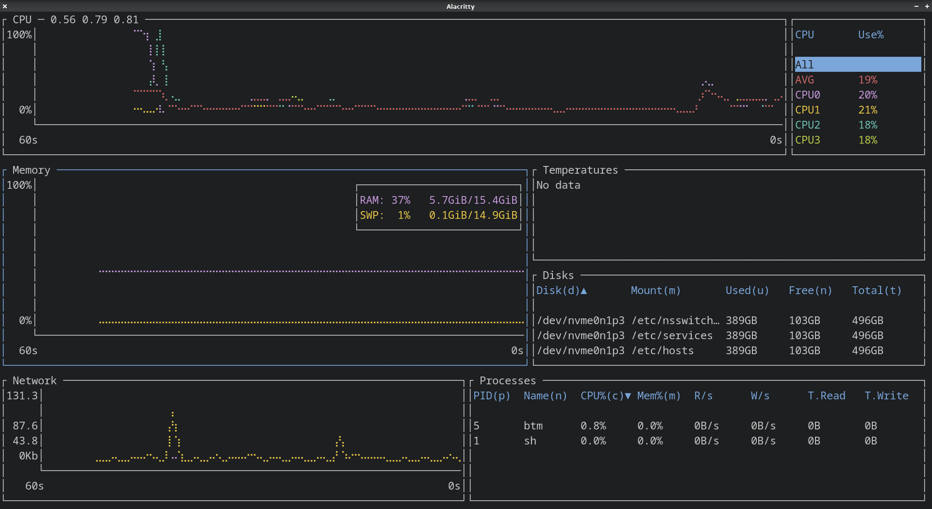 Bottom, a process viewer, running in a Guix container